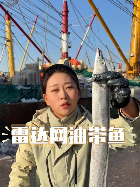 买舟山带鱼的看过来