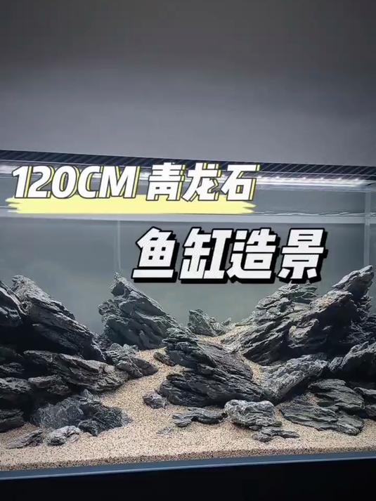 青龙石鱼缸造景分享