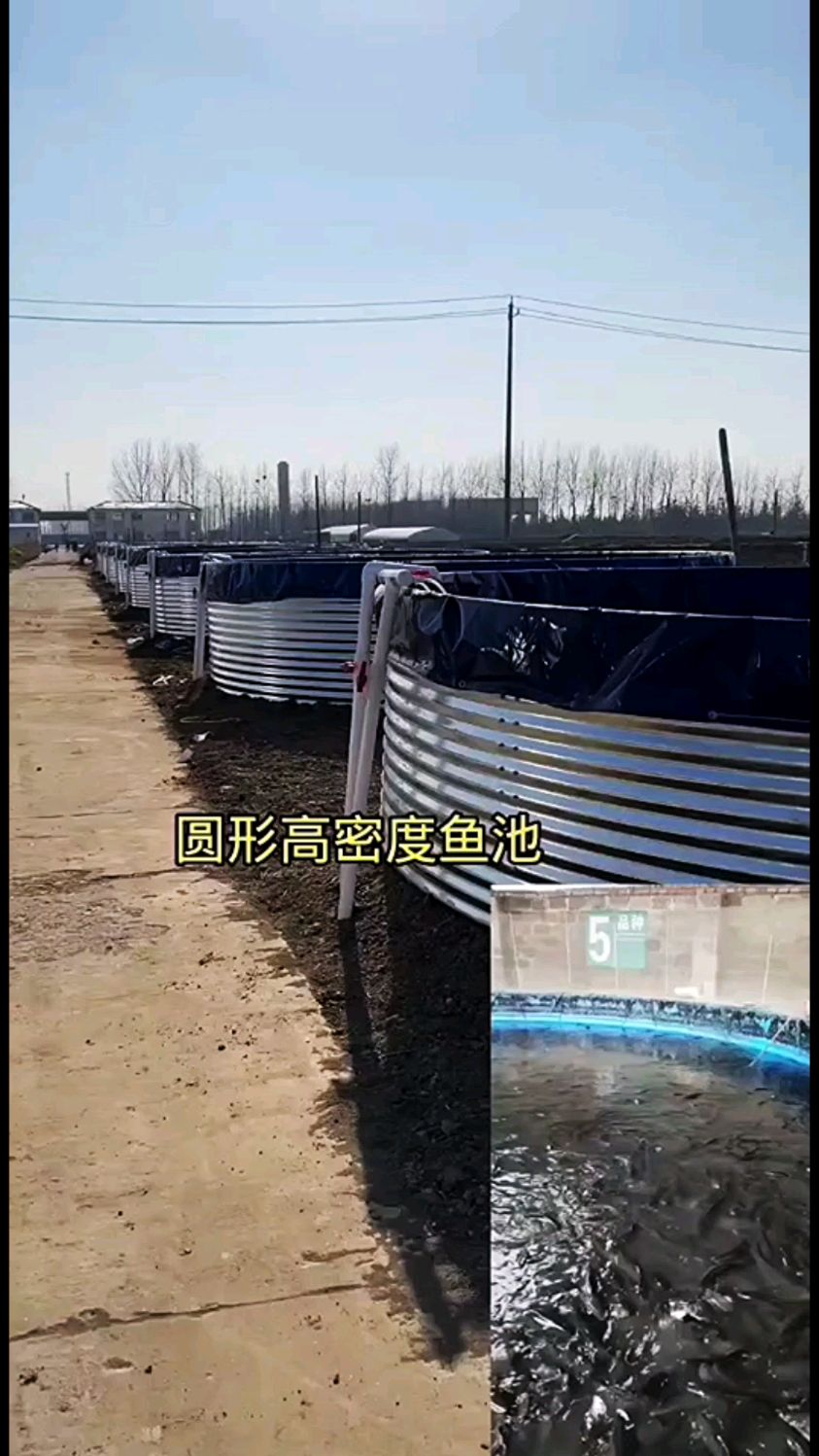 圆形鱼池设计
