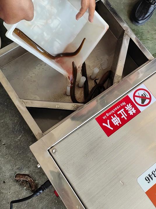 全自多功能不锈钢杀鱼机 黄鳝宰杀开肚去中骨的机器