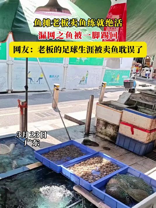 鱼摊老板卖鱼练就绝活,漏网之鱼被一脚踢回,网友:老板的足球生涯被卖鱼耽误了