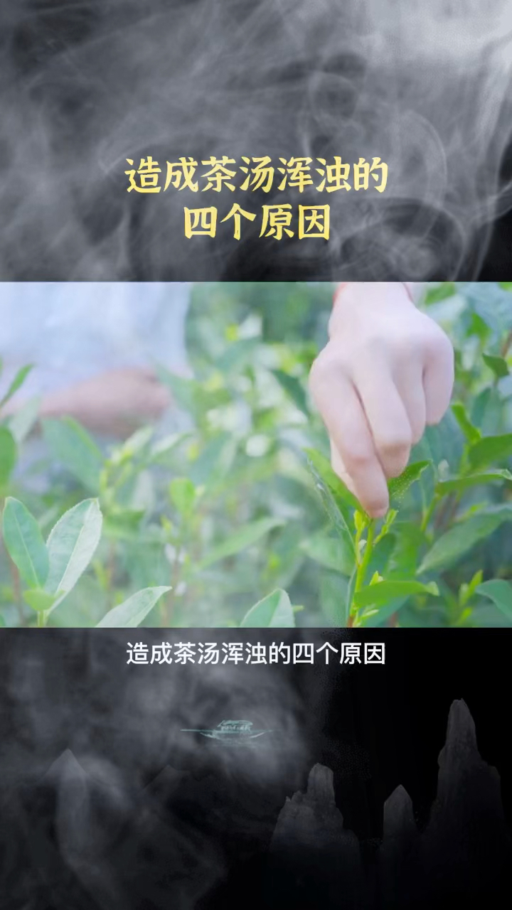 造成茶汤浑浊的四个原因!
