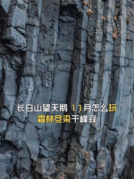长白山望天鹅,11月怎么玩