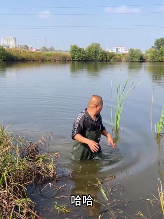 今天去买个网整点大鱼，顺道崩点爆米花