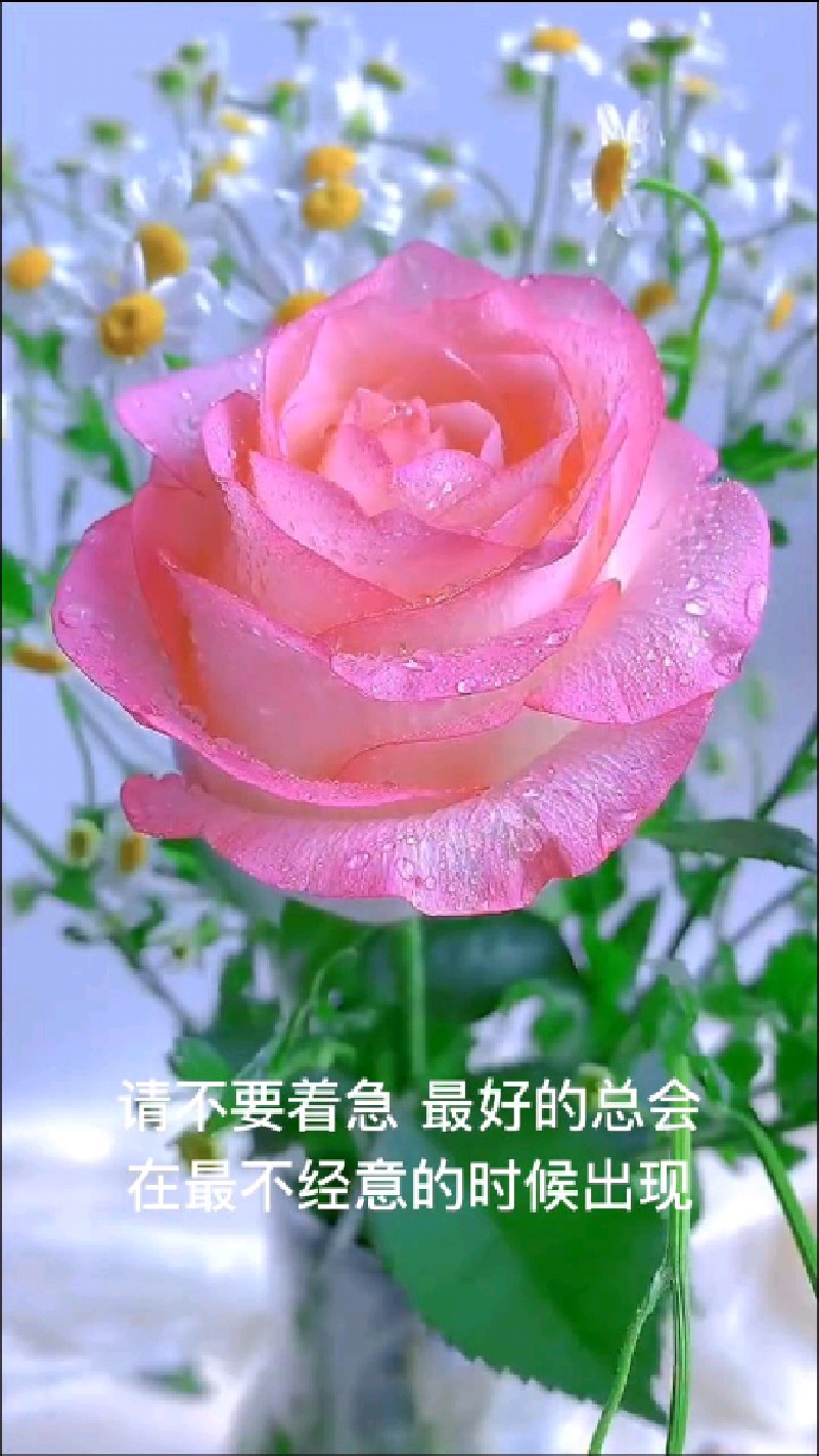 正能量励志语录短句