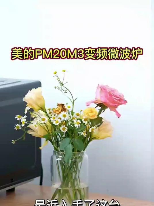 工作再也别忽视健康!美的智能微波炉 美的微波炉