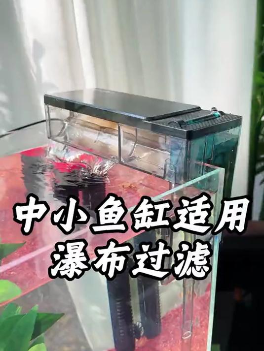 60以内中小鱼缸，彻朗瀑布过滤好用，轻松养出空气缸