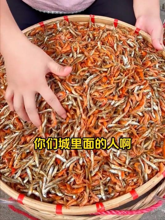 小河小溪里面的小鱼小虾,干干净净的小鱼小虾湖南特产