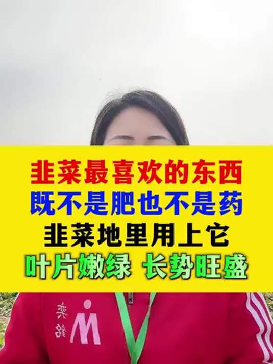 韭菜想高产?别用肥和药!用它叶嫩绿长势旺