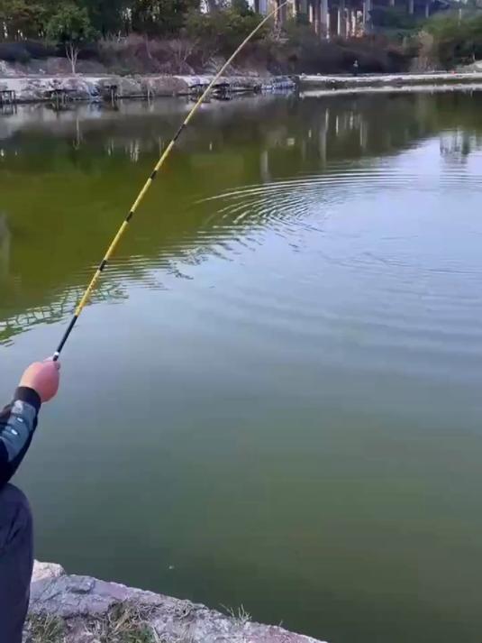 鱼竿鲫鱼竿鲤鱼手竿超轻37调溪流竿水库超硬竿腰力钓鱼杆碳素杆