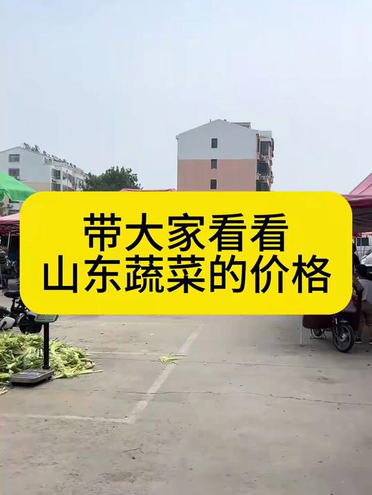 听说蔬菜价格贵的离谱，今天就带大家看看我们山东蔬菜的价格