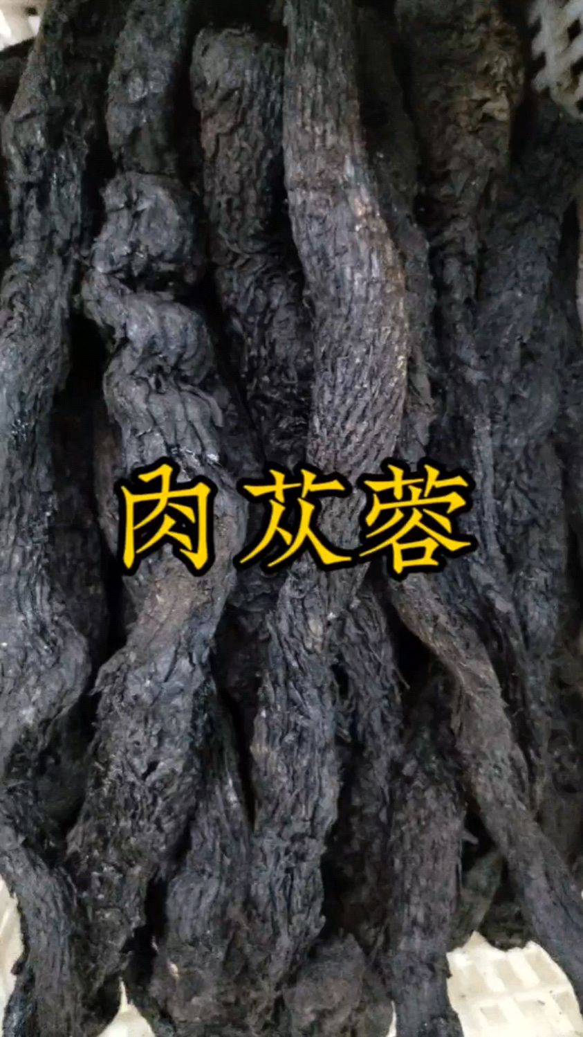 肉苁蓉又叫大芸新疆产的70一公斤,如何挑选好的肉松蓉,大芸一个非常重要作用
