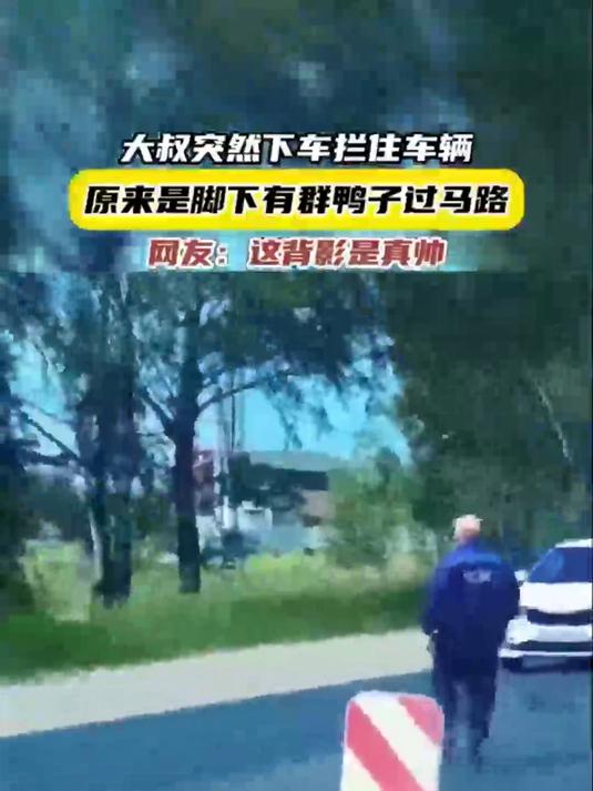 大叔突然下车拦住车辆，原来是脚下有群鸭子过马路，网友：这背影是真帅