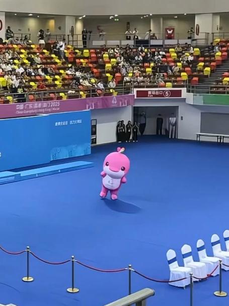 腿到用时方恨短！大湾鸡们这是表演上斗鸡了！