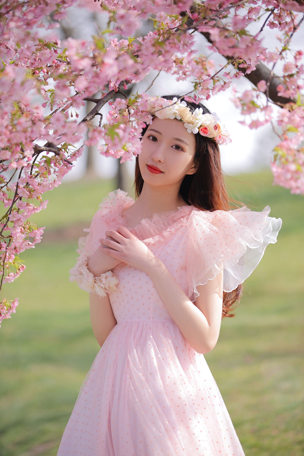 图片[29]-樱花-六色网