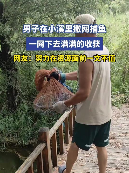 男子在小溪里撒网捕鱼，一网下去满满的收获