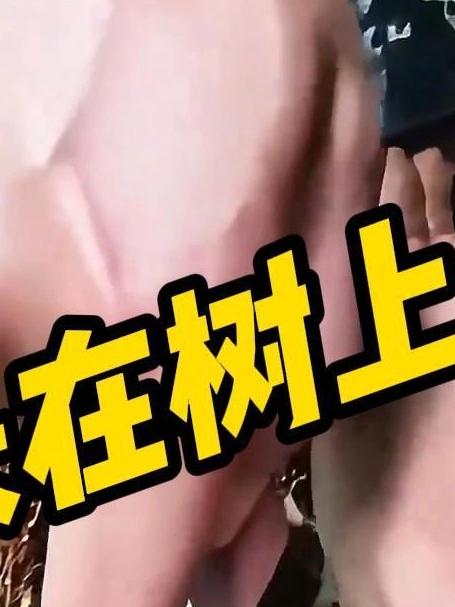 长在树上的花生？