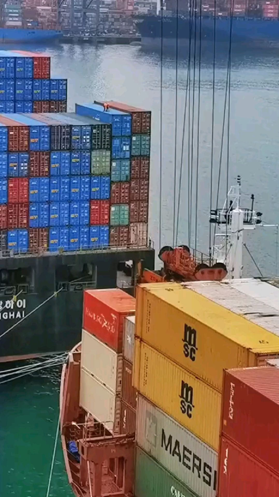 进口宠物鸡肉粉到货,饲料级鸡肉粉含量60-68%不等