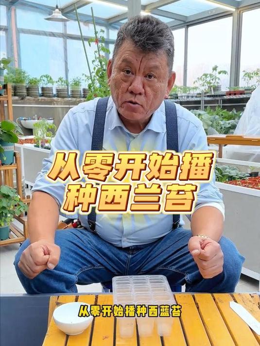 从零开始播种西兰苔
