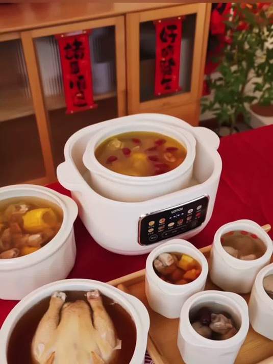 家用全自动电炖锅 隔水炖煮养生汤 厨房必备好物