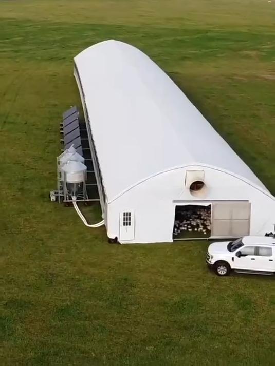 #AI中国年我的春节故事#美国发明会移动的养鸡场