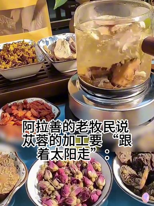 一口沦陷！肉苁蓉切片的醇厚口感，滋养身心