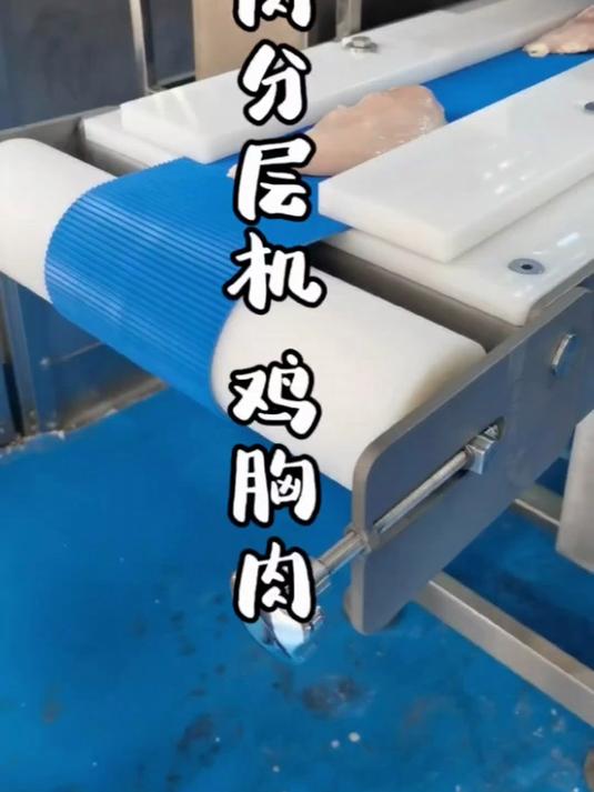 鲜肉分层机 鸡胸肉 鸭肉 猪肉