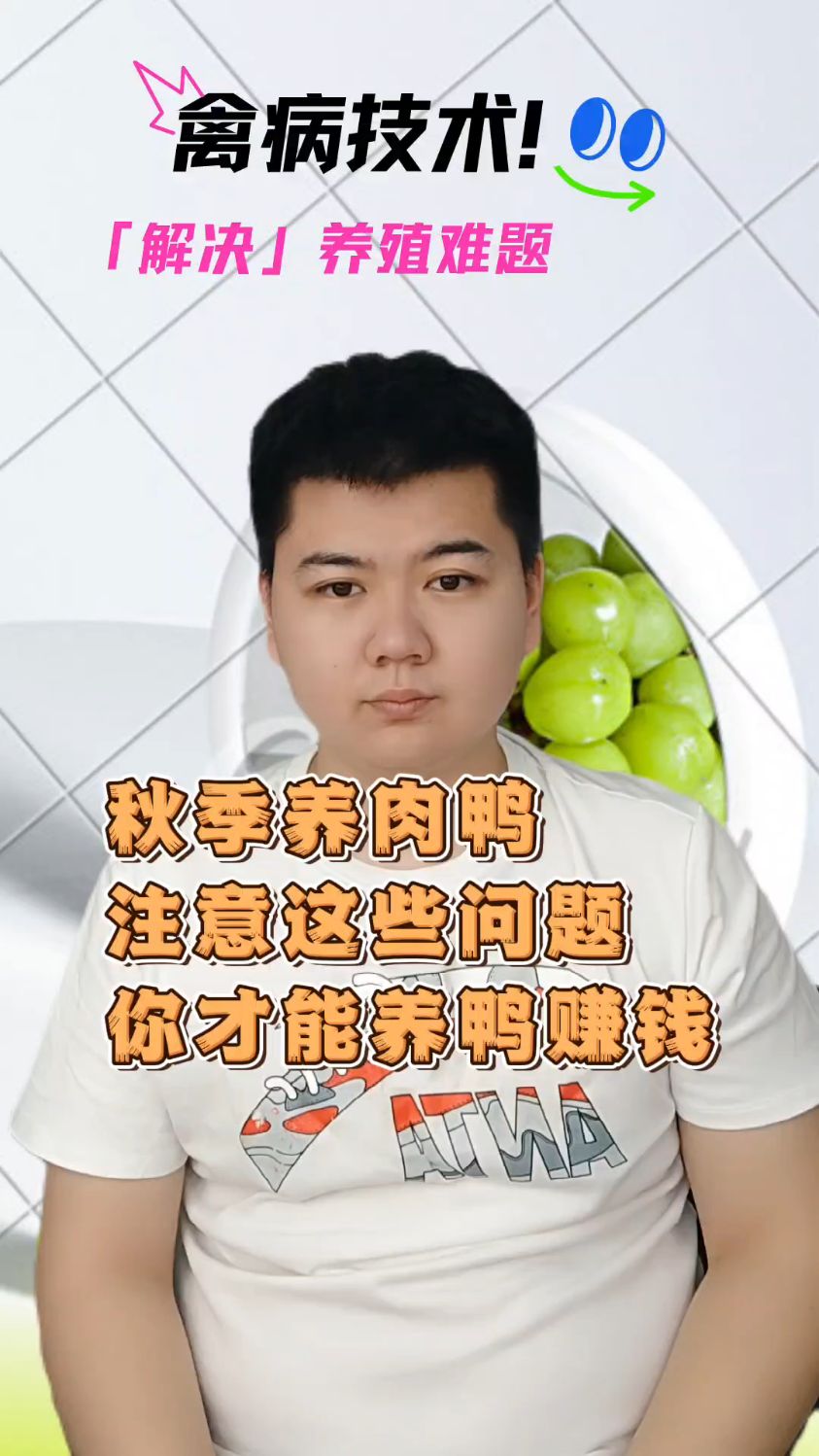 鸭子应激怎么处理鸭子受惊吓后不进食怎么办鸭子受惊吓怎么办鸭子受惊吓后几天恢复