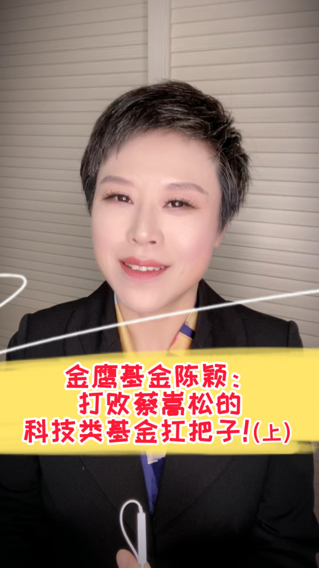 金鹰基金陈颖:打败蔡嵩松的科技类基金扛把子!(上)