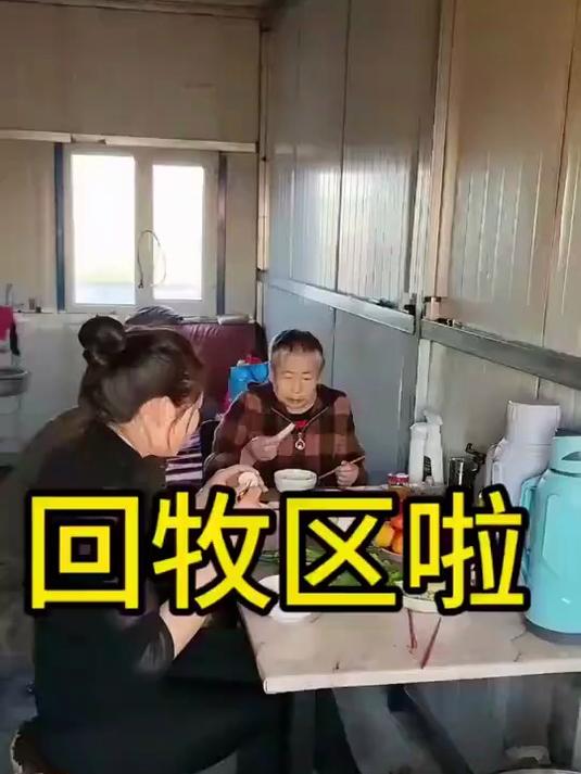 抓点小鸡仔回牧区啦，吃着自己家草地牛羊肉在养点鸡鸭鹅