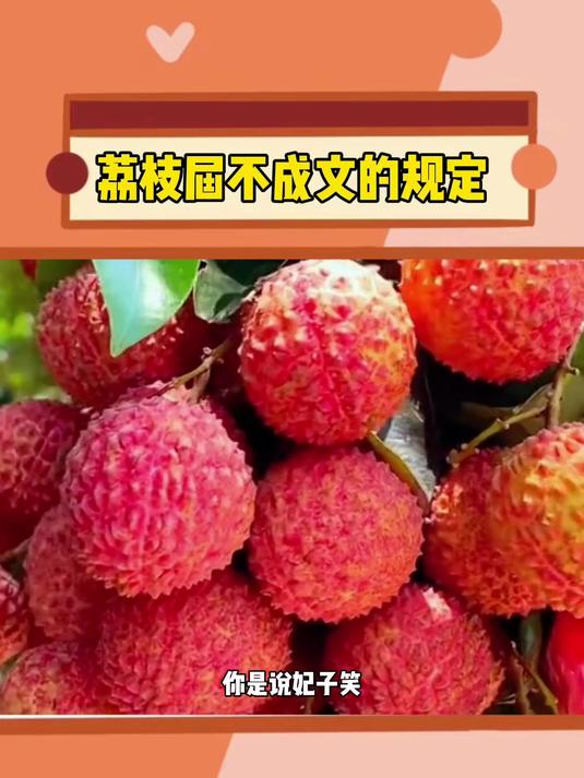 荔枝居然还有这么多品种