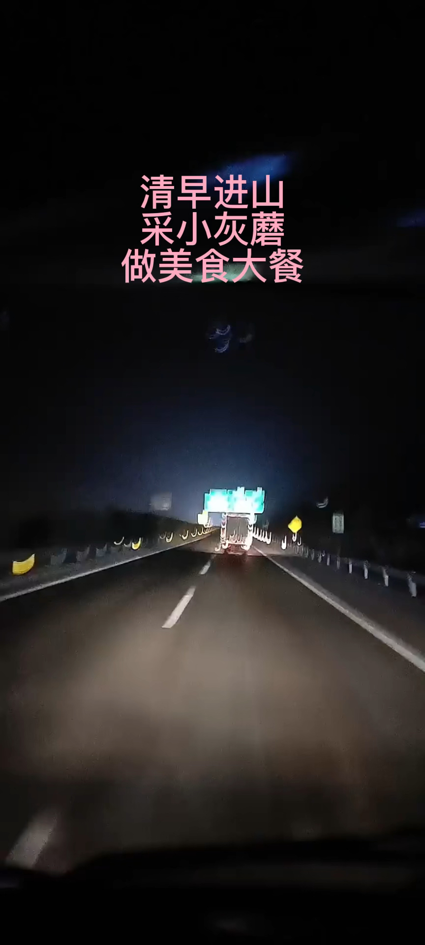 进山采灰蘑,做蘑菇大餐