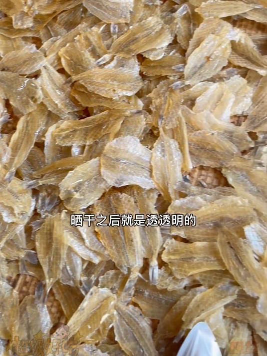 从来不爱吃鱼的就适合来两条开心鱼