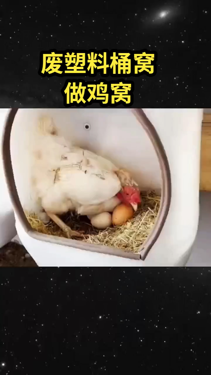 废弃塑料桶鸡窝