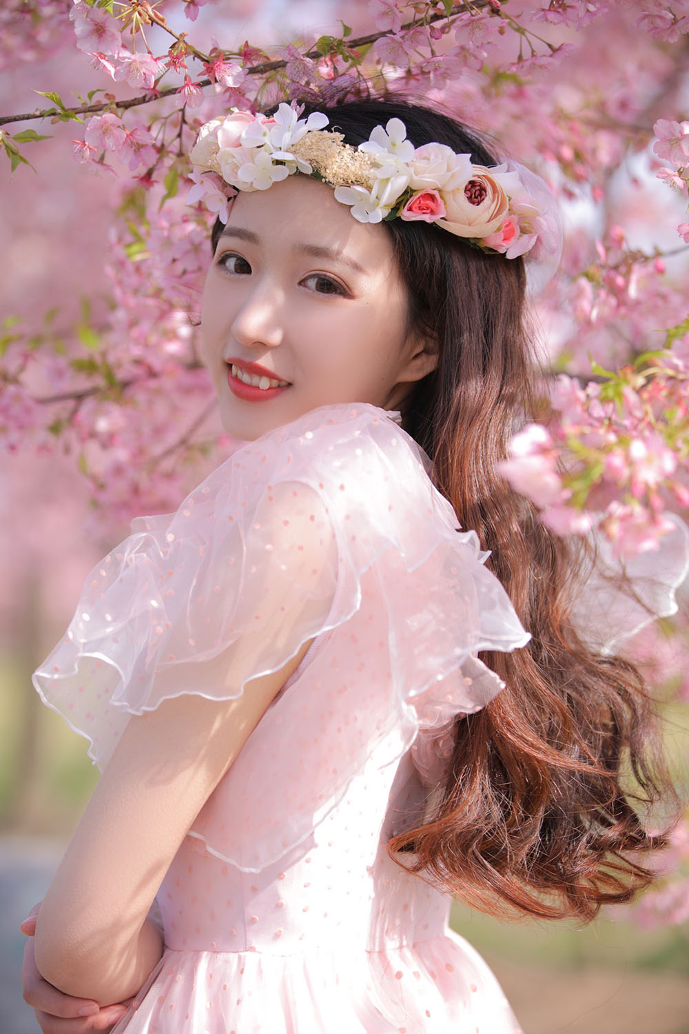图片[31]-樱花-六色网