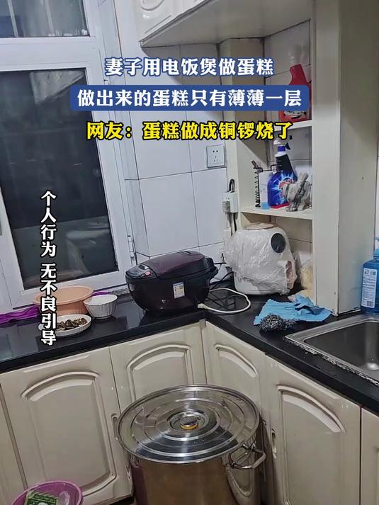 妻子用电饭煲做蛋糕,做出来的蛋糕只有薄薄一层,网友:蛋糕做成铜锣烧了