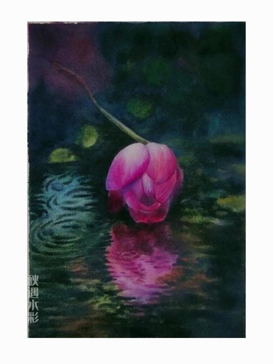 水彩绘画过程分享,沉浸在画花花草草的世界—秋遇水彩画荷花倒影