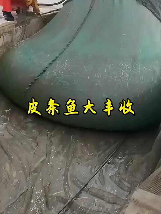 渔民在大海上捕鱼的震撼一幕看的既过瘾又解压!