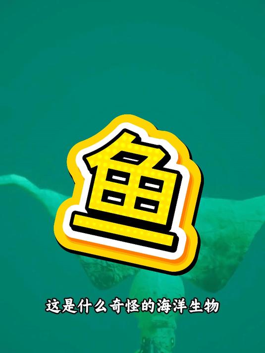 大鳍鱿鱼好吃吗?
