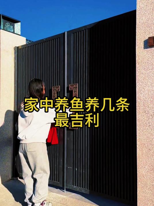 家宅地理,家中养鱼养几条最吉利,你知道吗
