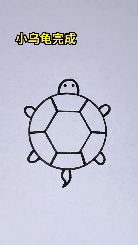 小乌龟简笔画