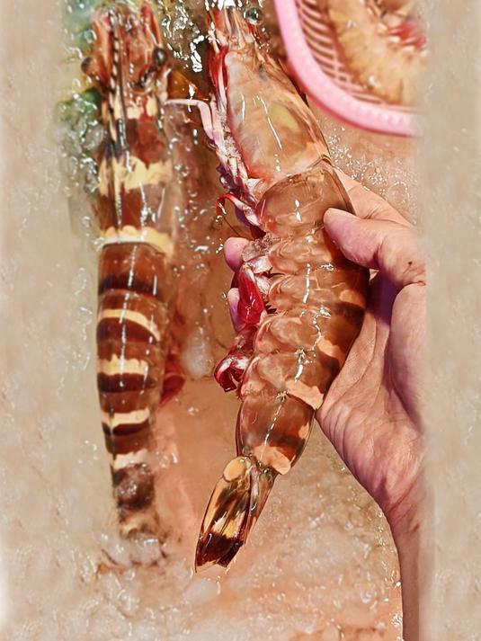 广州沙园,野生海鲜,大草虾顶小龙虾