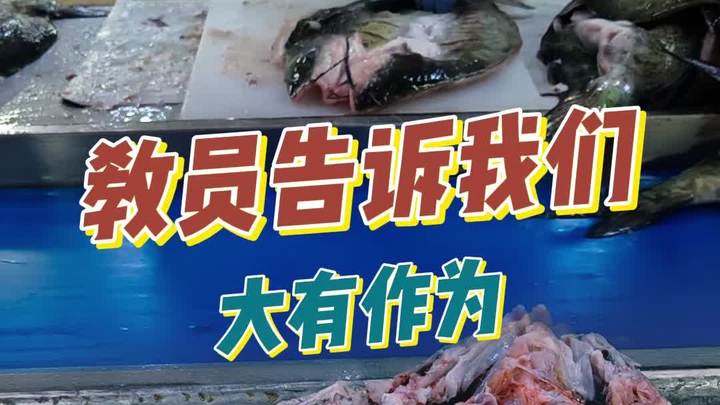 为什么鮰鱼(清江鱼)市场大有可为?