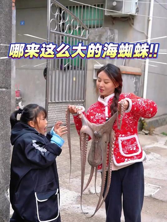 看起来很吓人像蜘蛛的八爪鱼，做成美食还挺好吃的