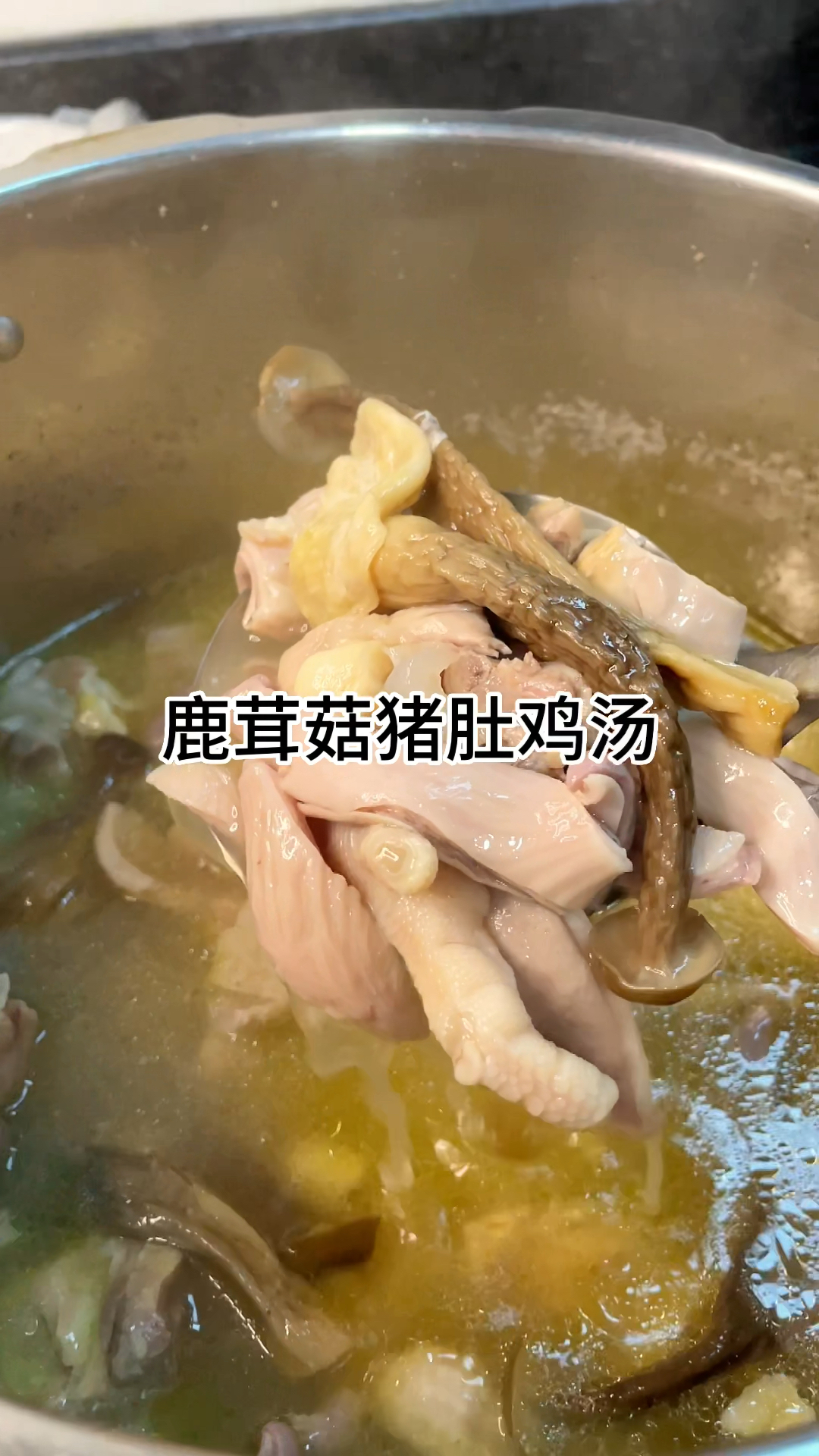 [当你有个会做饭的老婆]鹿茸菇猪肚鸡汤好喝又美味,家常做法简单美味