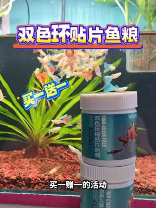 沃韦朗双色贴片鱼粮 养好孔雀鱼 打造生态缸