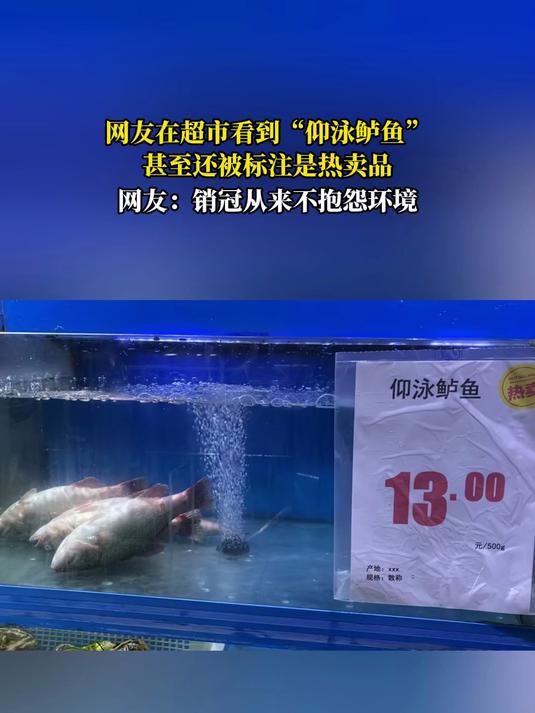 网友在超市看到“仰泳鲈鱼”,甚至还被标注是热卖品,网友:销冠从来不抱怨环境