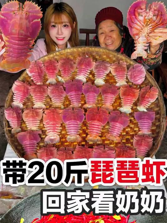 带20斤粉色琵琶虾回家看奶奶!