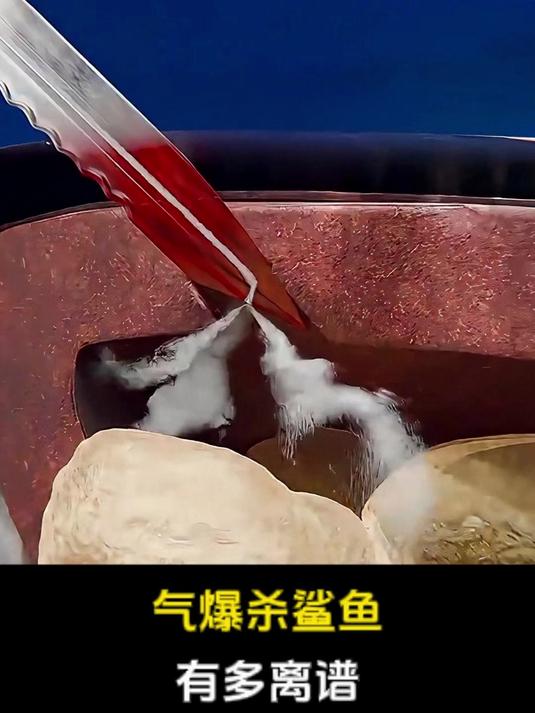 特制刀具刺鲨触发气爆,瞬间将其内部摧毁