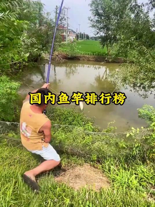 十大鱼竿排行榜，你用的是哪款